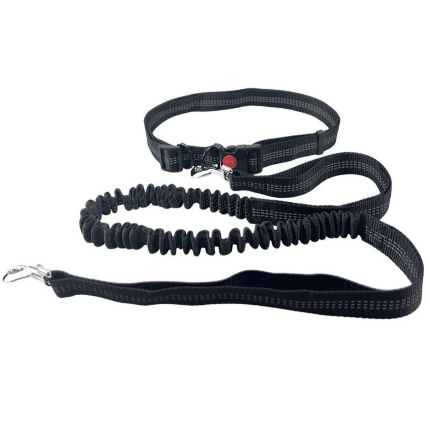 Correa elástica premium para perros activos, manos libres, resistente, ajustable, caminar, correr, trotar.