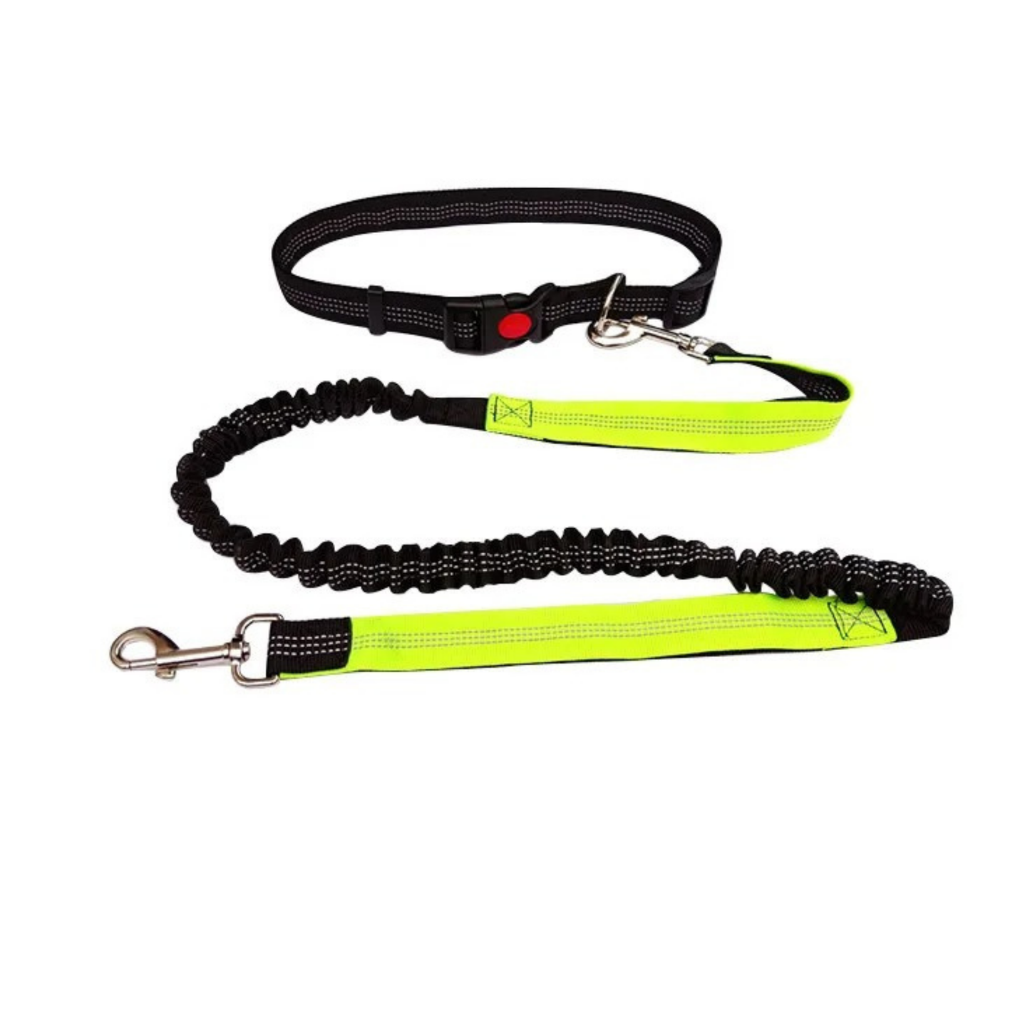 Correa elástica premium para perros activos, manos libres, resistente, ajustable, caminar, correr, trotar.