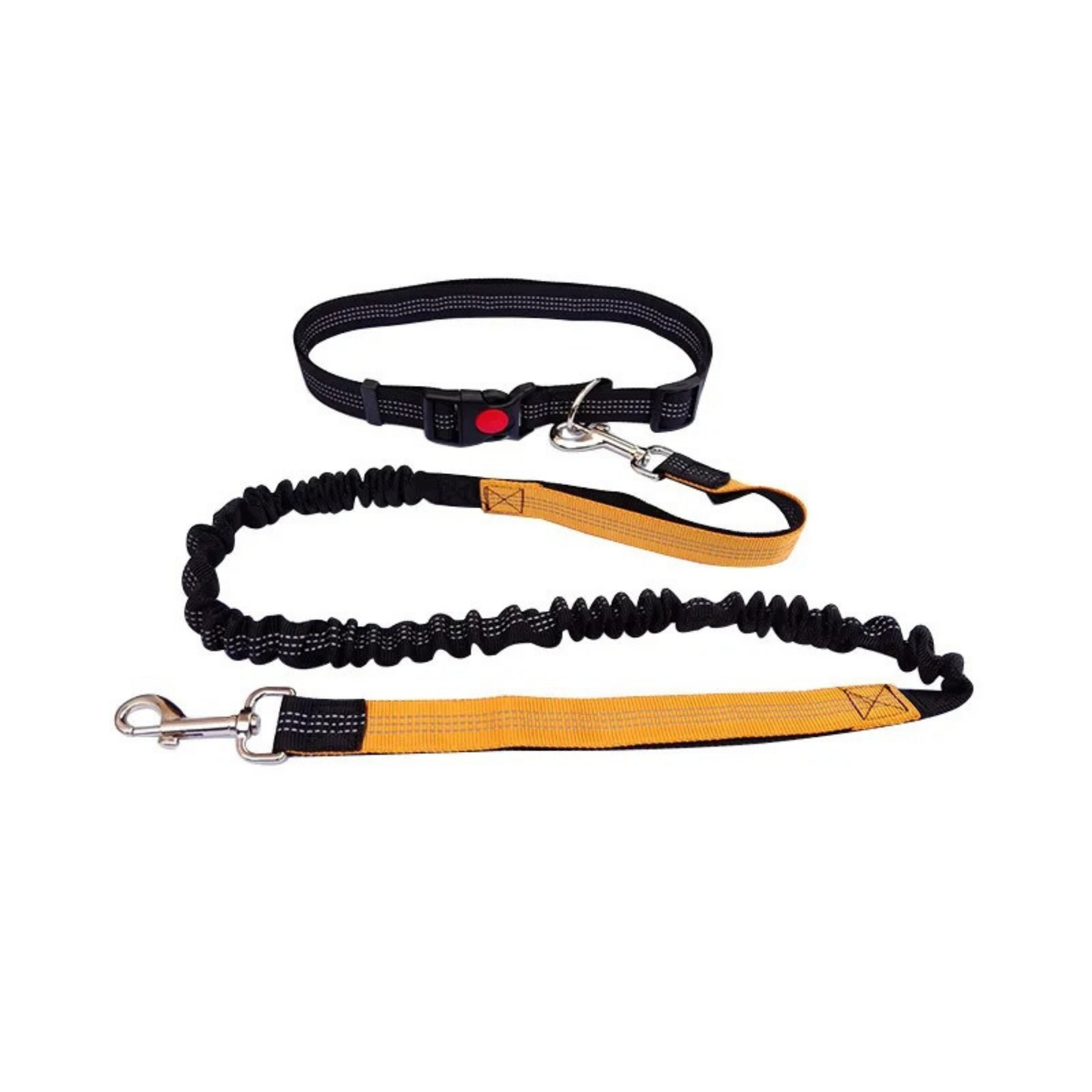 Correa elástica premium para perros activos, manos libres, resistente, ajustable, caminar, correr, trotar.