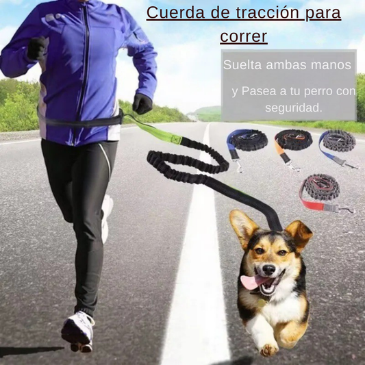 Correa elástica premium para perros activos, manos libres, resistente, ajustable, caminar, correr, trotar.