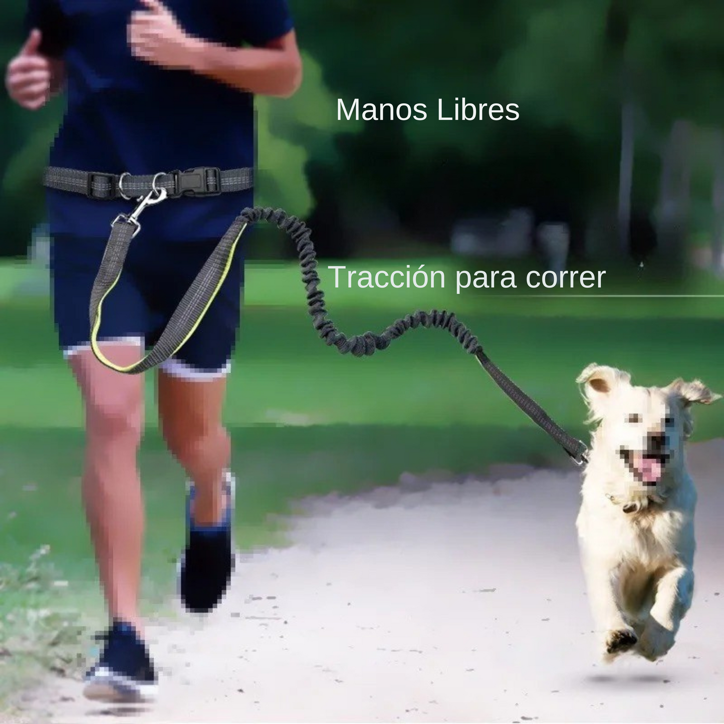 Correa elástica premium para perros activos, manos libres, resistente, ajustable, caminar, correr, trotar.