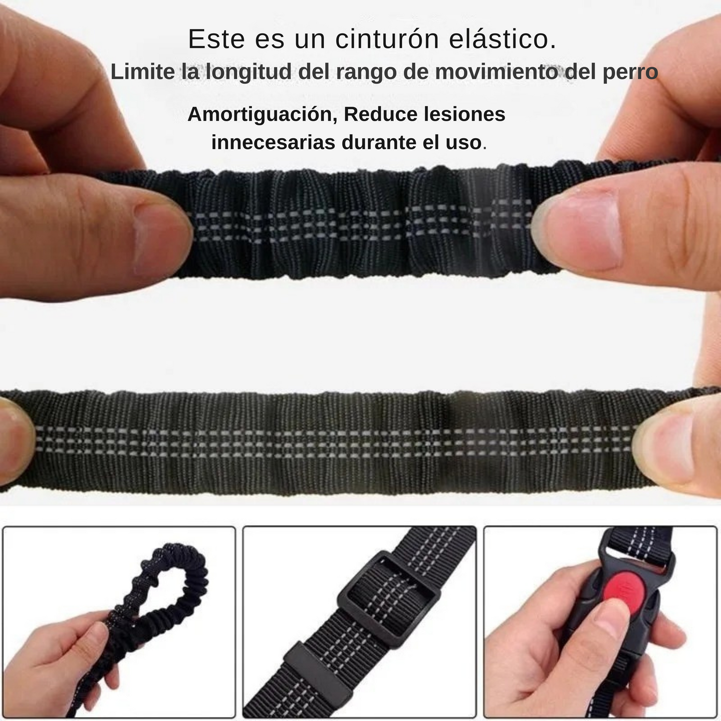 Correa elástica premium para perros activos, manos libres, resistente, ajustable, caminar, correr, trotar.