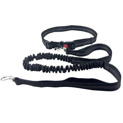 Correa elástica premium para perros activos, manos libres, resistente, ajustable, caminar, correr, trotar.