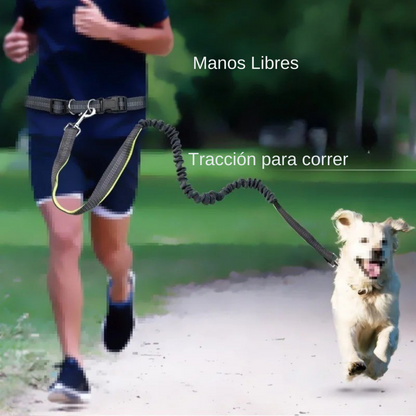Correa elástica premium para perros activos, manos libres, resistente, ajustable, caminar, correr, trotar.