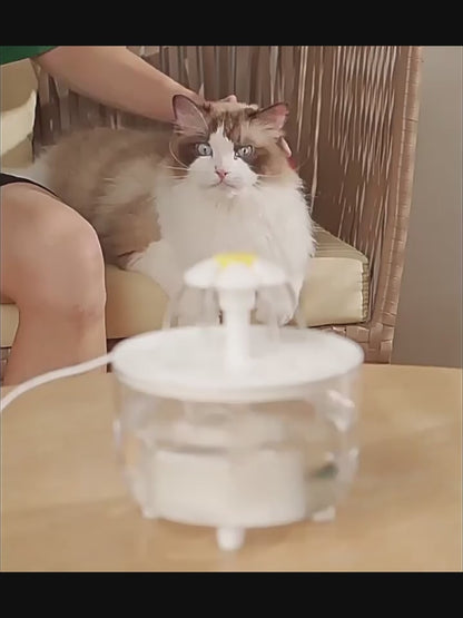 Fuente de Agua para gatos de 1L, tazón de bebida silencioso.