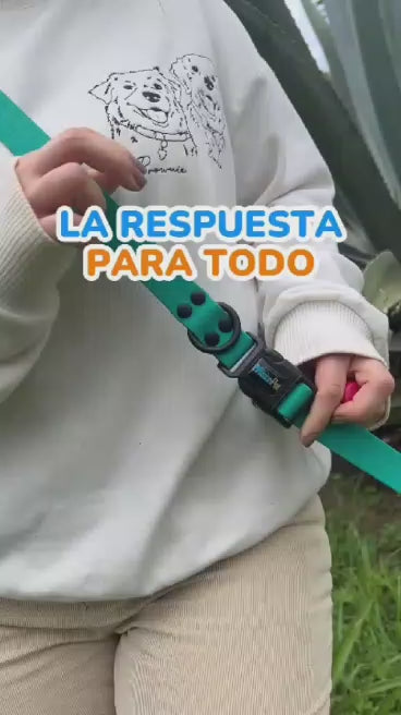Correa elástica premium para perros activos, manos libres, resistente, ajustable, caminar, correr, trotar.